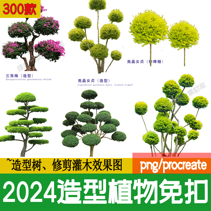 PS景观造型植物灌木球造型树迎客罗汉松桩景效果图png棒棒糖素材 商务/设计服务 设计素材/源文件 原图主图