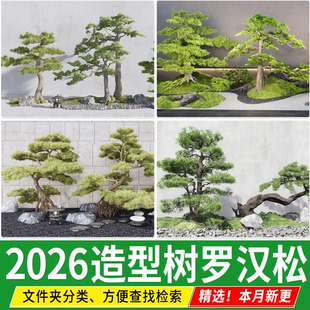草图大师中式日式庭院植物造型树罗汉松迎客松院子黑松松树su模型