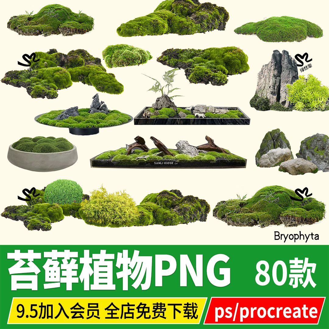 苔藓植物png庭院室内景观青苔微景观盆景psd草皮PS素材procreate