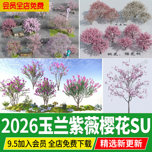 丛生玉兰紫薇樱花碧桃紫叶李庭院园林开花小乔木木兰丁香SU模型