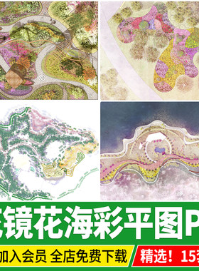 花镜花海花境景观彩平图彩色平面图公园彩屏彩平PSD分层PS素材