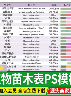 苗木表花镜花海庭院植物配置图园林景观种植设计PSD源文件PS模板