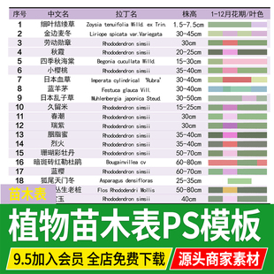 苗木表花镜花海庭院植物配置图园林景观种植设计PSD源文件PS模板