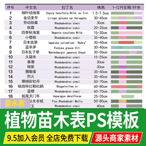 苗木表花镜花海庭院植物配置图园林景观种植设计PSD源文件PS模板