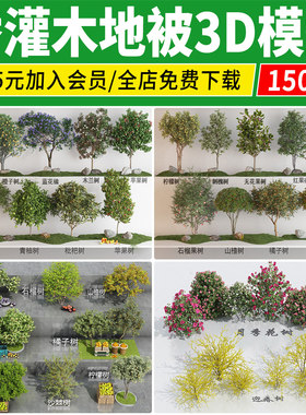 树木外景室外景观绿植灌木花草树池单体绿化植物3D模型乔木3Dmax