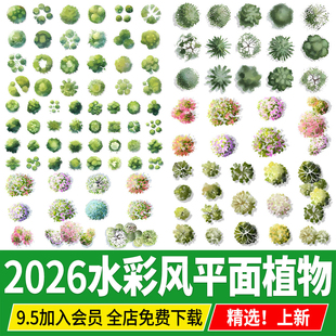 水彩风植物平面图彩平图乔木灌木树木手绘风小清新PSD图例PS素材