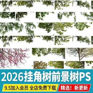 园林景观建筑效果图后期前景树挂角树ps素材树枝边角植物psd免抠