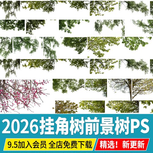 园林景观建筑效果图后期前景树挂角树ps素材树枝边角植物psd免抠