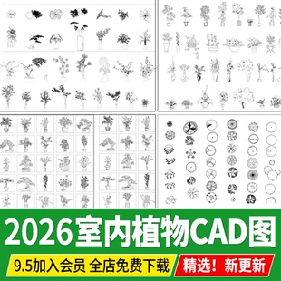 室内植物绿植盆栽摆件花瓶 素材平面立面图插画艺术品盆景CAD图块