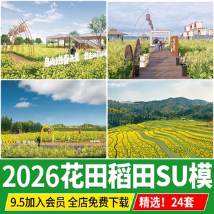 油菜花田稻田水稻农田新农村南方乡村梯田景观向日葵su模型素材