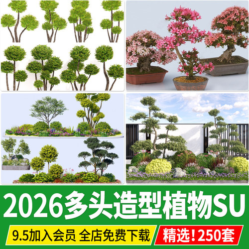 3d多头亮晶女贞 赤楠造型树 造型植物杜鹃老桩杜鹃腊梅黄杨su模型