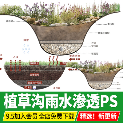 植草沟绿化剖面图雨水渗透分析图海绵城市排水系统PSD分层PS素材
