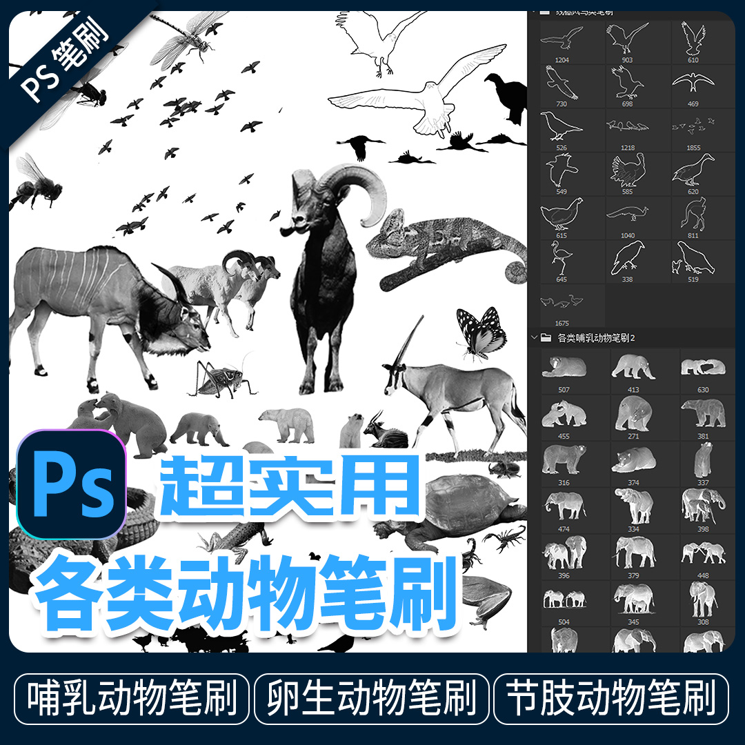 爬行两栖动物昆虫线稿手绘风真实ps笔刷蝴蝶鸟类procreate笔刷