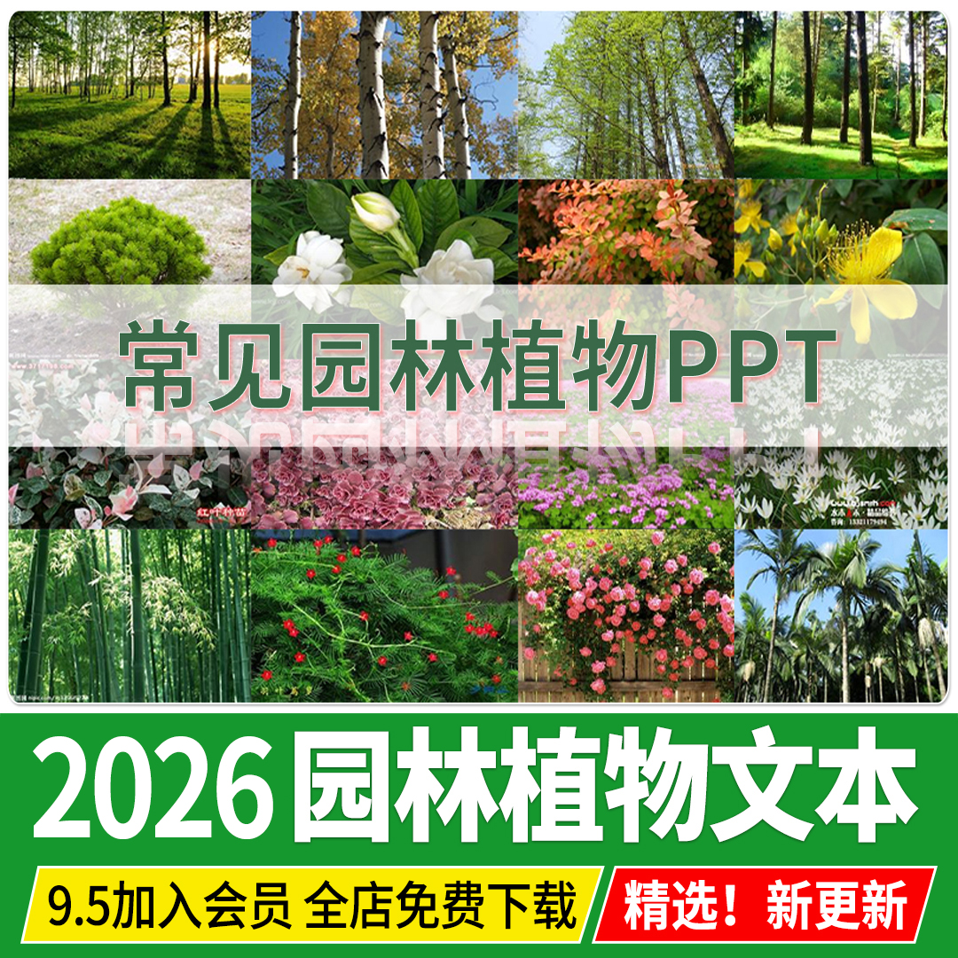 常用园林植物认识介绍乔木灌木地被花卉景观分类应用手册图片图鉴