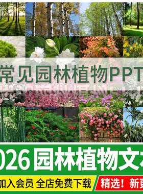 常用园林植物认识介绍乔木灌木地被花卉景观分类应用手册图片图鉴