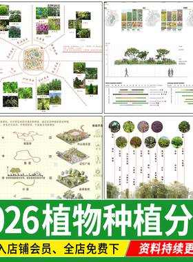 植物配置意向图公园生态 搭配园林 景观 种植分析图PSD分层ps素材