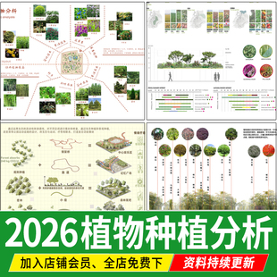 植物配置意向图公园生态 搭配园林 景观 种植分析图PSD分层ps素材