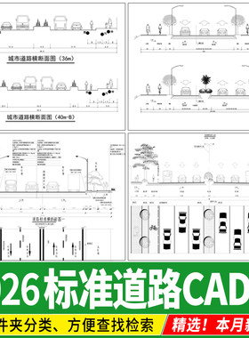 道路横断面剖面图断面图城市标准段绿化设计详图大样图CAD施工图