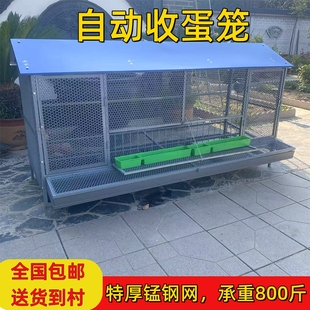 鸡笼家用室外铁丝网大号防雨防黄鼠狼防鼠养殖鸡笼防啄鸡下蛋鸡笼