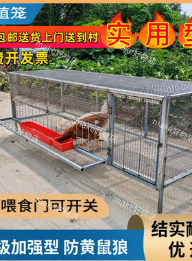 鸡伸头喂食自动出蛋防黄鼠养殖笼