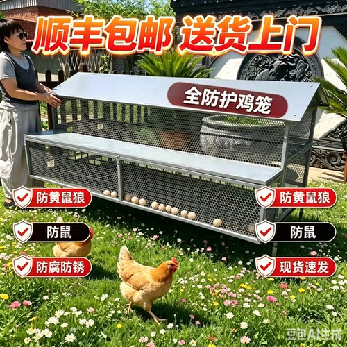 鸡笼家用室外新型防雨防黄鼠狼防鼠养殖鸡笼防啄鸡全防护下蛋鸡笼