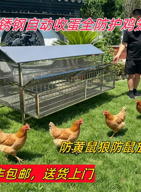 不锈钢全防护自动收蛋鸡笼