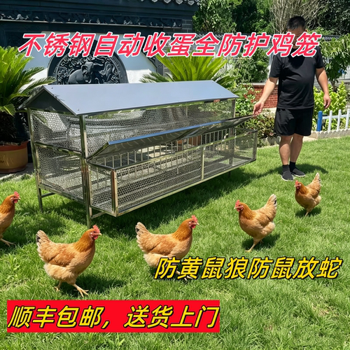不锈钢全防护自动收蛋鸡笼