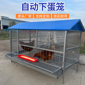 防鼠防黄鼠狼自动下蛋鸡笼