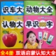 小树丫宝宝双语启蒙认知大书早识300字认物大全动物大全识车大全幼小衔接早教书儿童识字书新蒙氏早教学前启蒙早教书左右脑开发