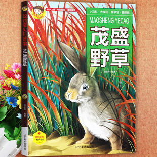 植物小百科全书茂盛野草儿童绘本童眼观世界识天下趣味科普馆聪颖宝贝中国少年儿童十万个为什么走进大自然野花野草图签早教书籍