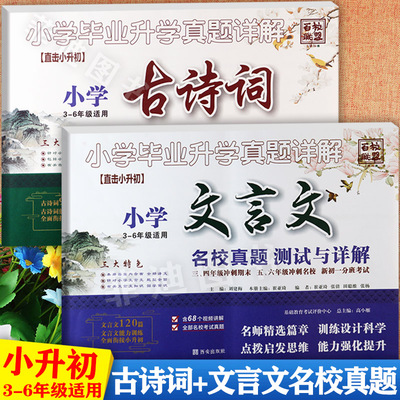 视频讲解小升初文言文古诗词大全