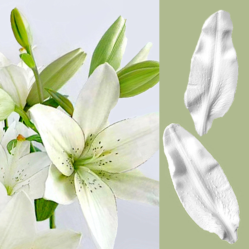 清新百合花瓣花苞模具
