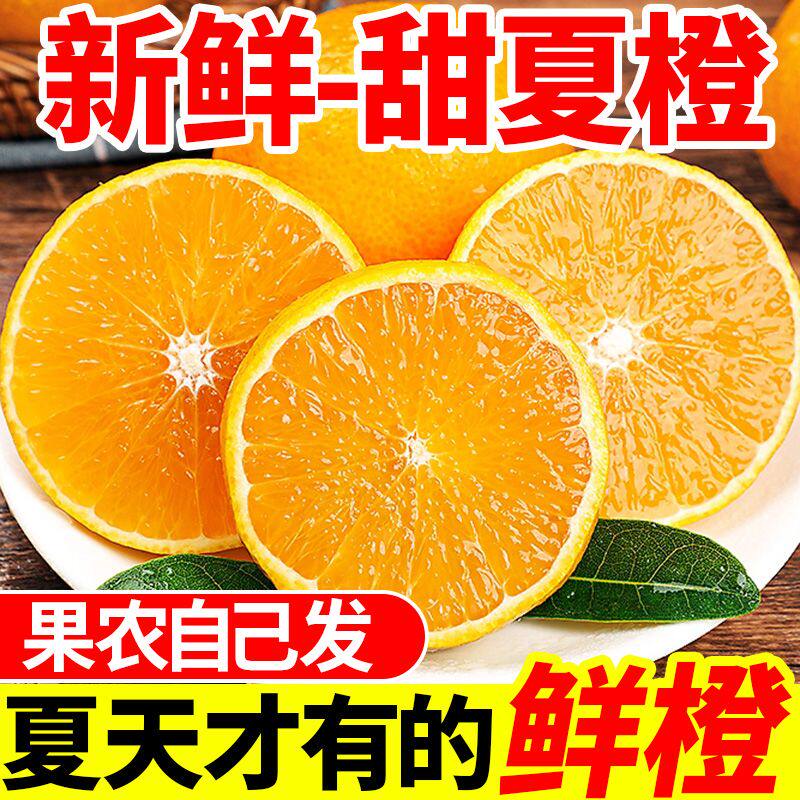 广西桂林夏橙正宗9斤橙子应当季水果新鲜现摘果冻橙冰糖甜橙包邮