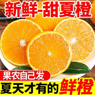 广西桂林夏橙正宗9斤橙子应当季水果新鲜现摘果冻橙冰糖甜橙包邮