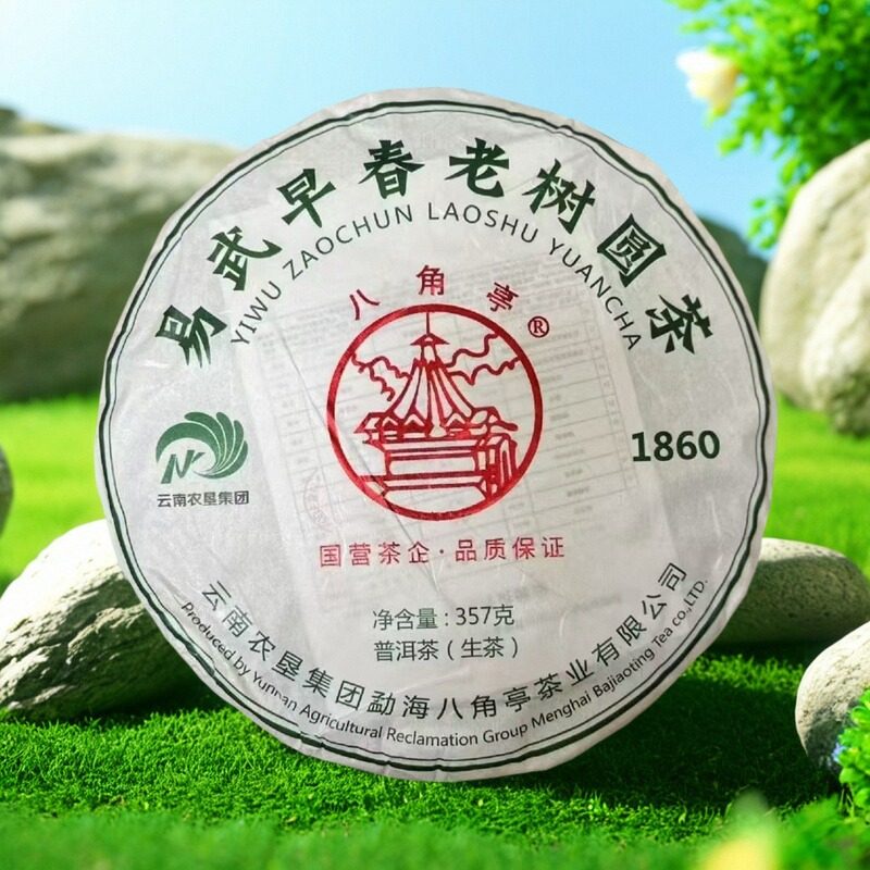 勐海八角亭易武茶叶2018年易武早春老树圆茶生茶357g云南普洱茶叶