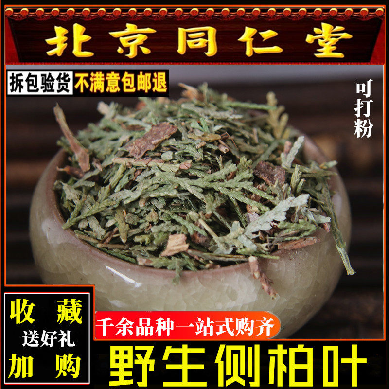 野生侧柏叶中药乌发侧伯叶侧百叶测柏叶柏树叶500g可搭桑叶