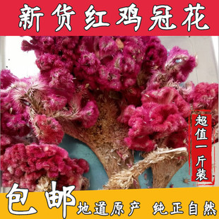 中药材鸡冠花 红鸡冠花自然晒干红色鸡冠子花500克包邮