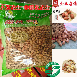 石城特产原味小米花生非翻秋花生胜龙岩花生休闲坚果零食农家自种
