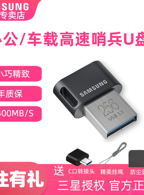三星高速u盘256g迷你车载音乐极氪领克01行车记录仪U盘512G小鹏X9