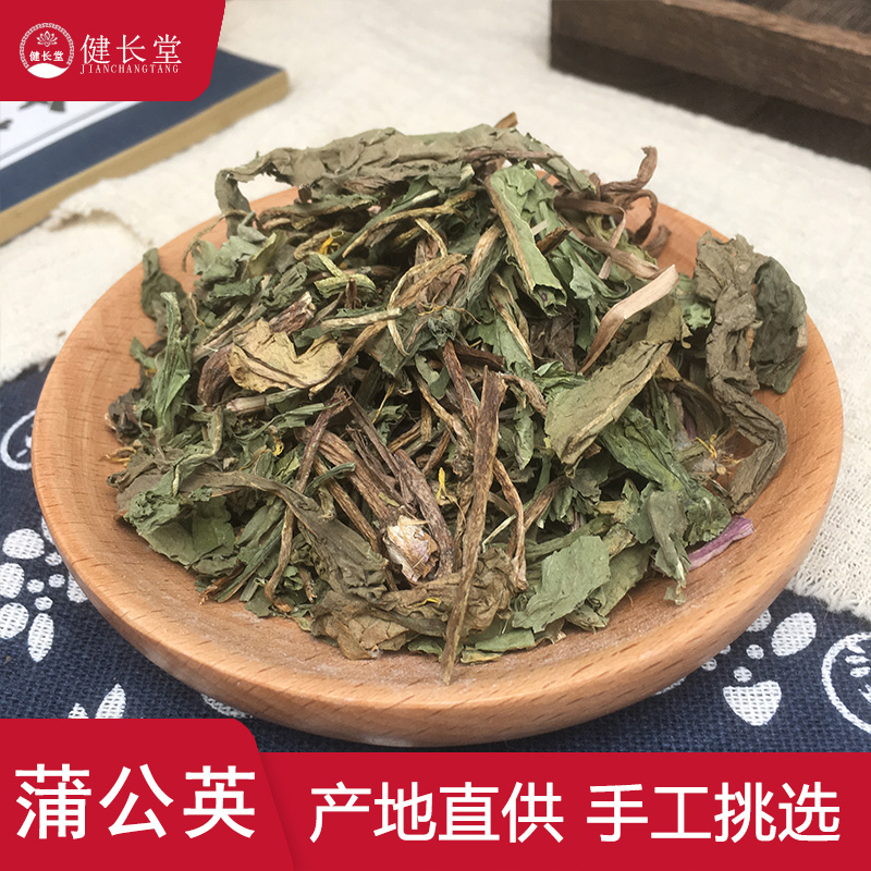 中药材蒲公英黄花地丁