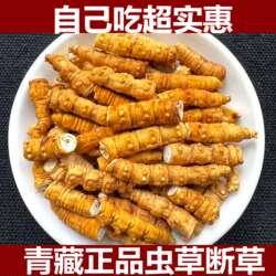 西藏那曲野外生冬虫夏草虫草大断草自用