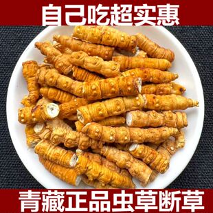 西藏那曲野外生冬虫夏草虫草大断草自用