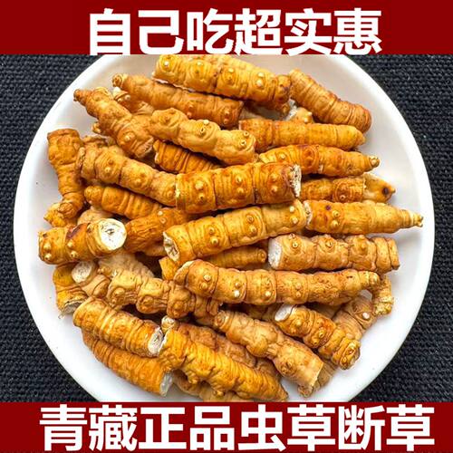 自用正品高海拔冬虫夏草虫草断草
