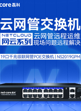 磊科NS2019GPM 千兆上联+16口百兆POE口+1个光口云网管国标POE交换机监控安防摄像头