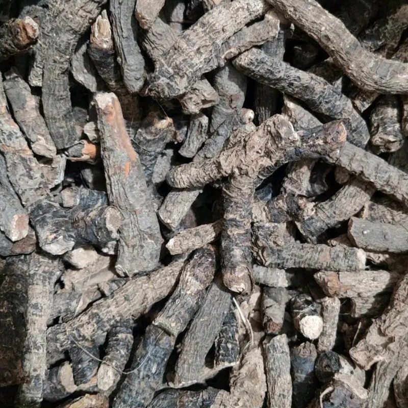 贵州省八大金刚血三七中草药材盘龙七根岩石白菜头子500g包邮