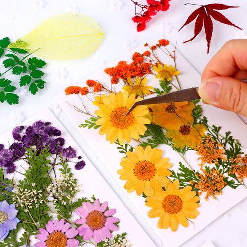 押花混合DIY干花树叶