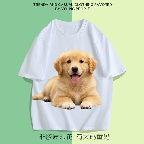金毛狗动物可爱宠物速干冰丝大码上衣短袖T恤男女有童码夏季白色