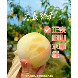 【桃卡软甜多汁】正宗无锡阳山水蜜桃果农直发新鲜水果农产品蜜桃