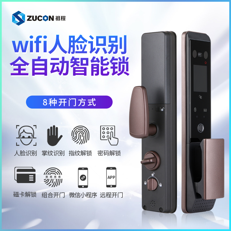 智能电子密码锁人脸识别指纹家用