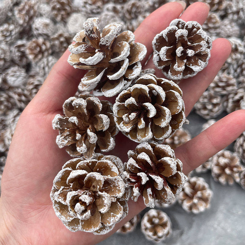 天然松果 松塔 本地松 马尾松球 diy手工材料圣诞节装饰 拍摄道具,宠物/宠物食品及用品,鸟窝,淘宝优惠券,粉丝福利购,淘宝优惠卷